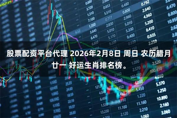 股票配资平台代理 2026年2月8日 周日 农历腊月廿一 好运生肖排名榜。